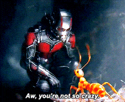 ant man battle GIF