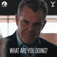 What Are You Up To GIF by Yellowstone