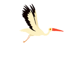 Stork Ciguena Sticker by Mi Señal