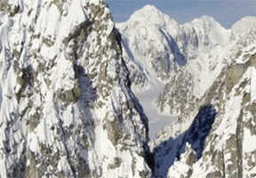 discovery channel television GIF
