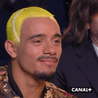 Disappointed Mister V GIF by CANAL+