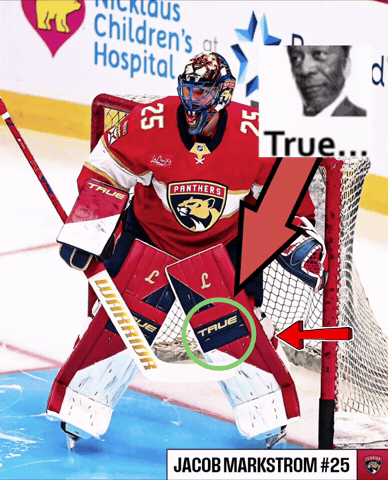 Florida Panthers Nhl GIF