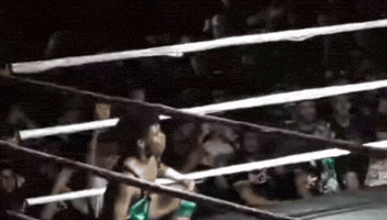 Happy Wrestling GIF