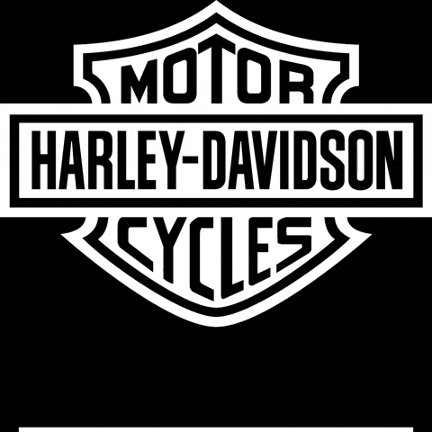 Harley Davidson GIF by Dynojet Research