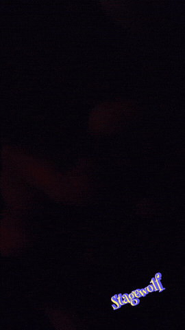 Concert Fail GIF by STAGEWOLF
