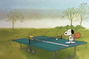 Charlie Brown Thanksgiving GIF by Peanuts