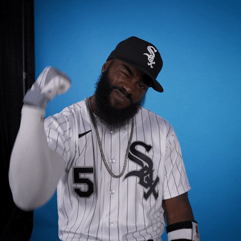 Lets Go Celebration GIF by Chicago White Sox