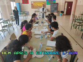 Iemediterrani Campclar GIF