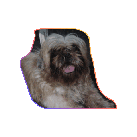 Animated Sticker