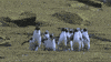 Jump Running GIF