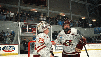 Yelling Womens Hockey GIF by Norwich University