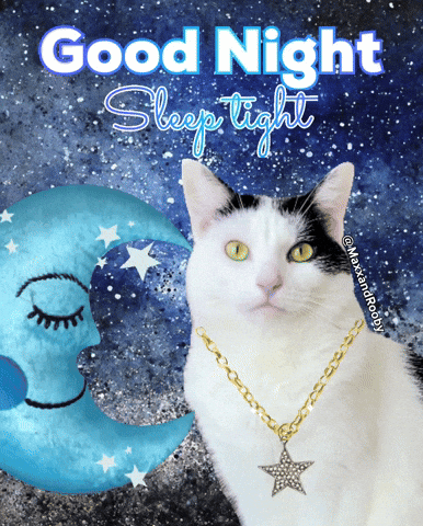 Good Night Cat GIF