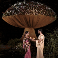 Samsameer GIF