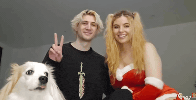 Dog Christmas GIF
