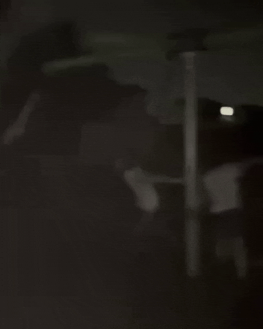 Spin Spinner GIF by Showza