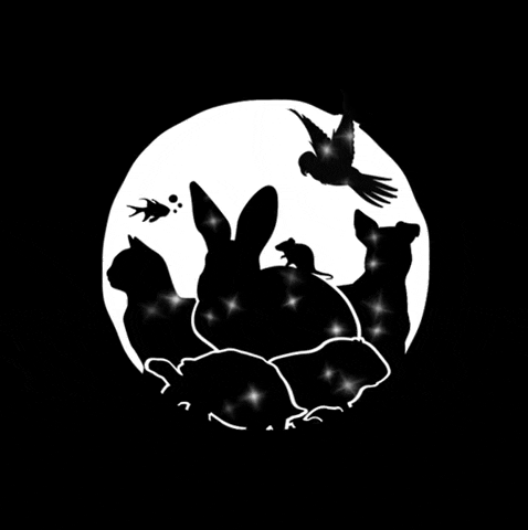 petfauna GIF