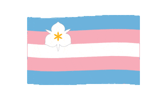 Slc Transgender Pride Sticker by Salt Lake City Government