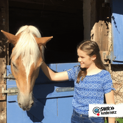 Tiere Bis Unters Dach Horse GIF by SWR Kindernetz