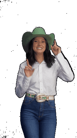 Ana Castela Sticker by Sicredi