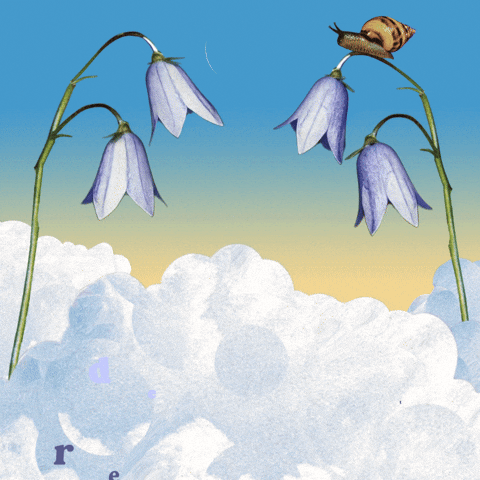 Shambhalahumanresources GIF by Shambhala Music Festival