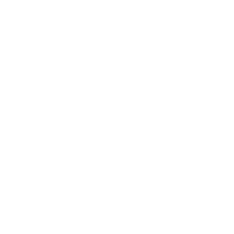 Bracelet Citron Sticker