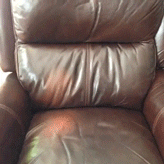 Dog Reaction GIF - Find & Share on GIPHY