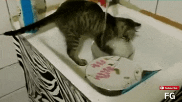 200.gif