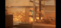 Pee-Wee GIF