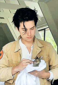 Cole Sprouse Bunny GIF by Fanfickk