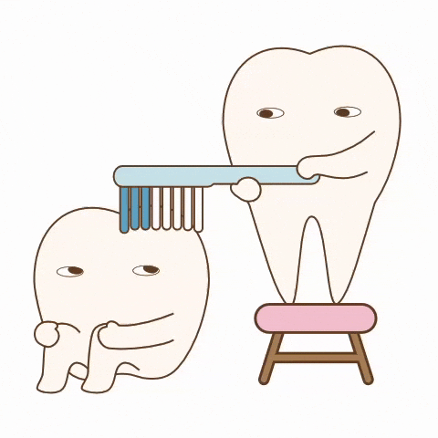 Cleaning Brushing GIF by dental_sozai