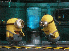 despicable me humor GIF