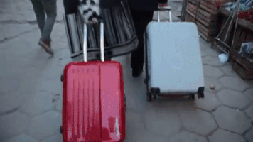 operaperiferica  GIF