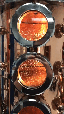 MuellerPotStills distillery craftdistilling potstill muellerpotstills GIF