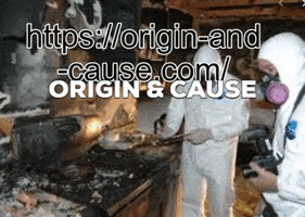 Origin Cause GIF
