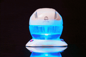 HYLA International GIF