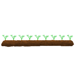 Carrot Agriculture Sticker by ASA-LIFT