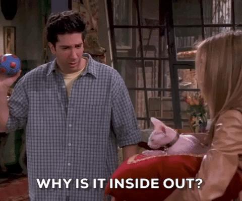 Season 5 Episode 118 GIF by Friends - Find & Share on GIPHY