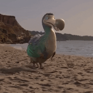 Excited Outrage GIF by Dodo Australia