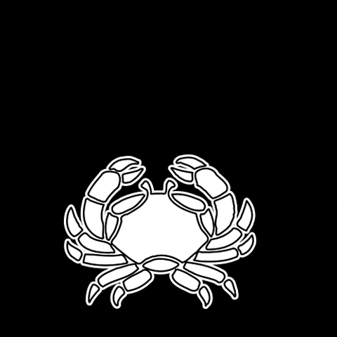 dgkeybiscayne GIF