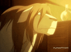Fullmetal Alchemist Dog GIF by Funimation