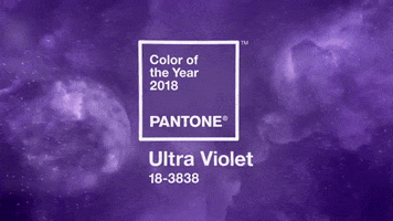 color of the year pantone GIF by ADWEEK