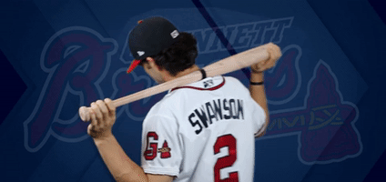 swanson GIF by Gwinnett Braves