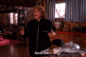Season 2 Episode 21 GIF by Twin Peaks on Showtime