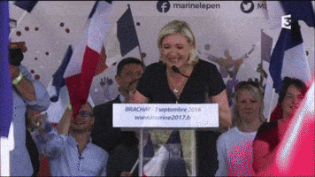 marine le pen discours GIF by franceinfo