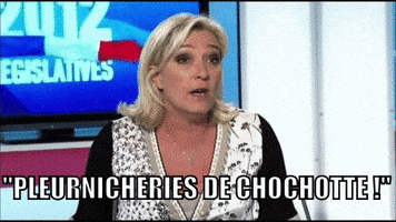 marine le pen archives GIF by franceinfo