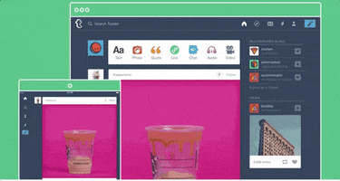 tumblr landing page sponsored post GIF by Instapage