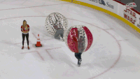 Hurricanes-fan GIFs - Get the best GIF on GIPHY