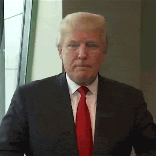 canvas_tv hair donald trump GIF
