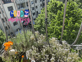 Socialcoffeehug Coffee GIF