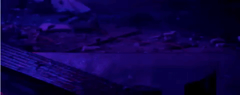 sebastiankgabrielm  GIF